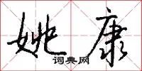姚康