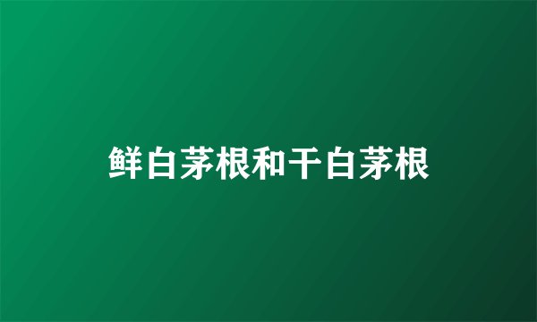 鲜白茅根和干白茅根