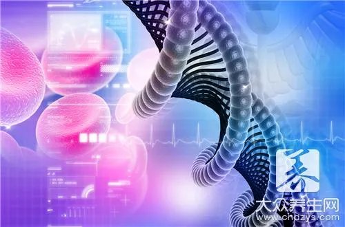 同性恋基因遗传吗?了解权威科学知识!