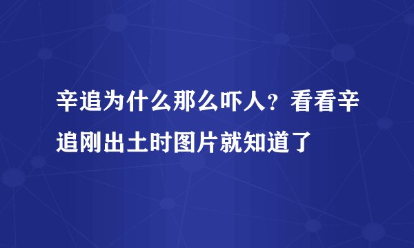 辛追为什么那么吓人？看看辛追刚出土时图片就知道了
