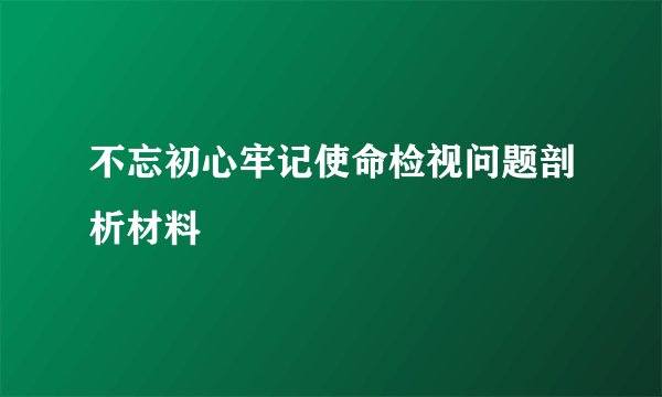 不忘初心牢记使命检视问题剖析材料