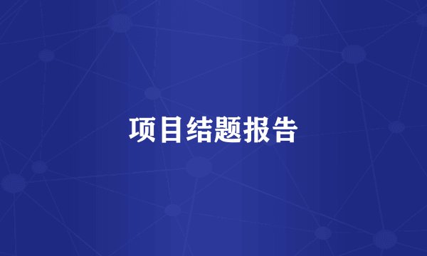 项目结题报告