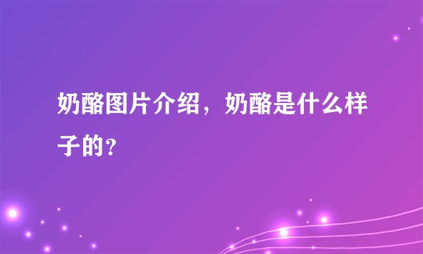 奶酪图片介绍，奶酪是什么样子的？