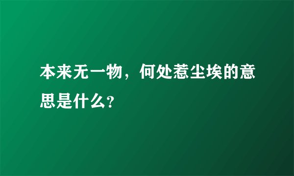 本来无一物,何处惹尘埃的意思是什么?