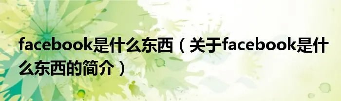 facebook是什么东西（关于facebook是什么东西的简介）