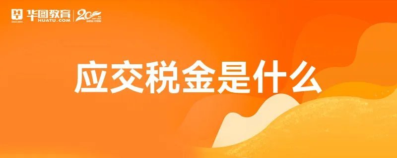 应交税金是什么