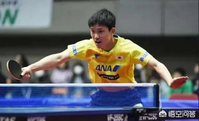 樊振东4:1逆转张本智和晋级2019年亚洲杯男单决赛,如何评价本场比赛双方的表现?