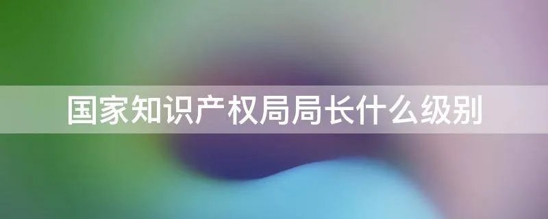 国家知识产权局局长什么级别