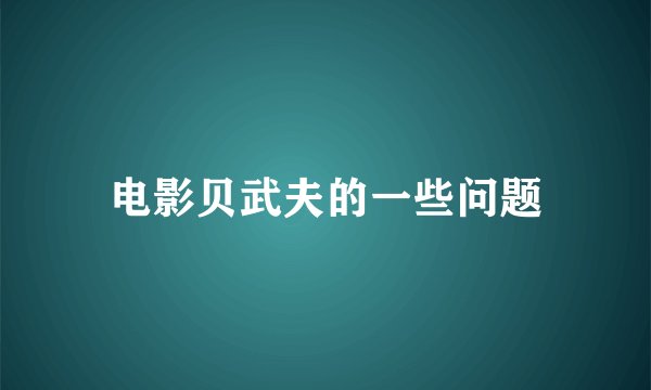 电影贝武夫的一些问题