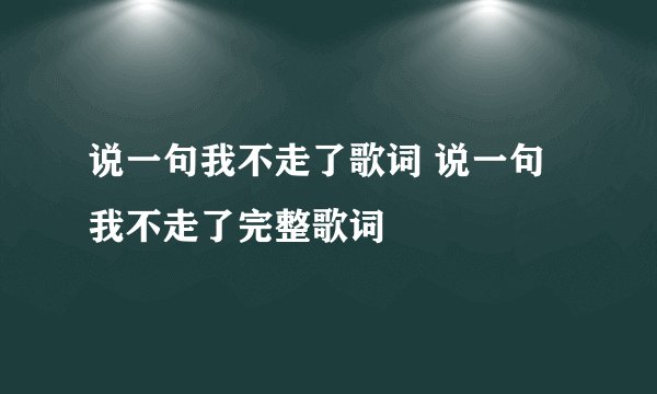 说一句我不走了歌词 说一句我不走了完整歌词