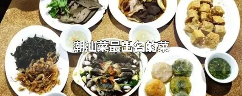 潮汕菜最出名的菜