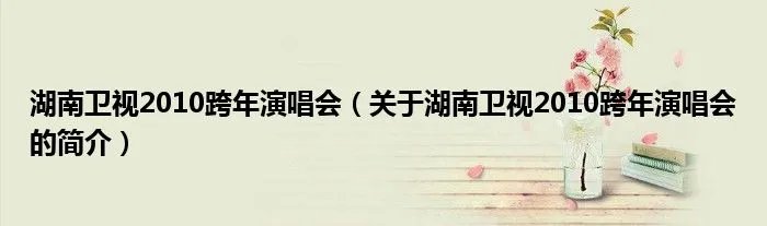 湖南卫视2010跨年演唱会（关于湖南卫视2010跨年演唱会的简介）