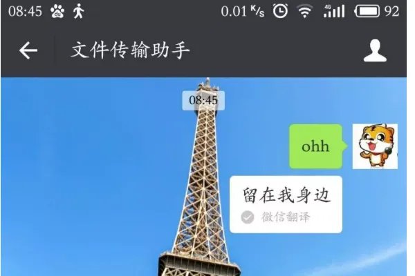 mi manchi翻译中文