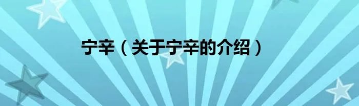 宁辛(关于宁辛的介绍)