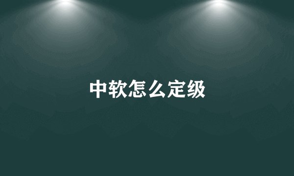 中软怎么定级