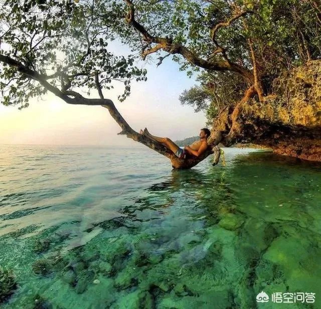 别人家的老师你喜欢哪点?