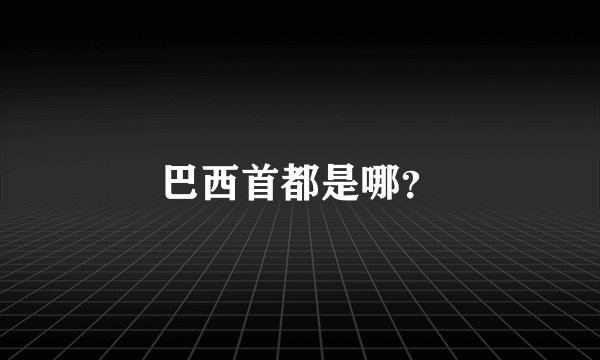 巴西首都是哪？