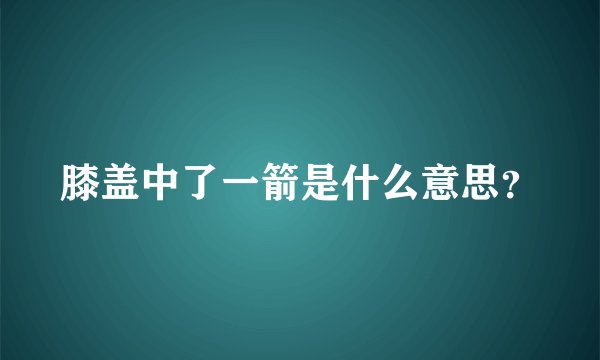 膝盖中了一箭是什么意思？