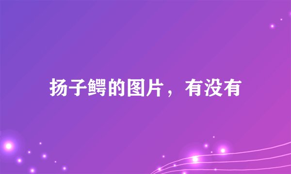 扬子鳄的图片，有没有