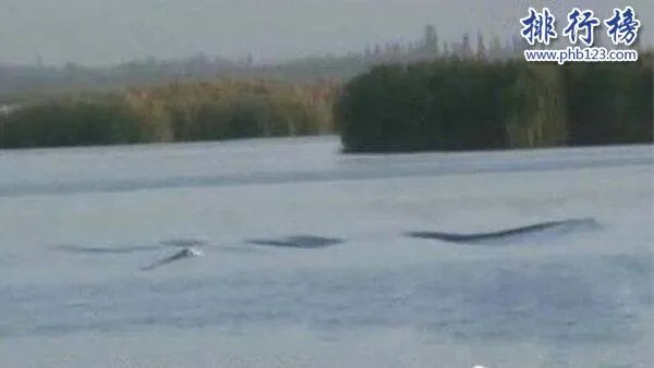 新疆喀纳斯湖水怪之谜真相大白,疑似15米32吨的巨型哲罗鲑(视频)