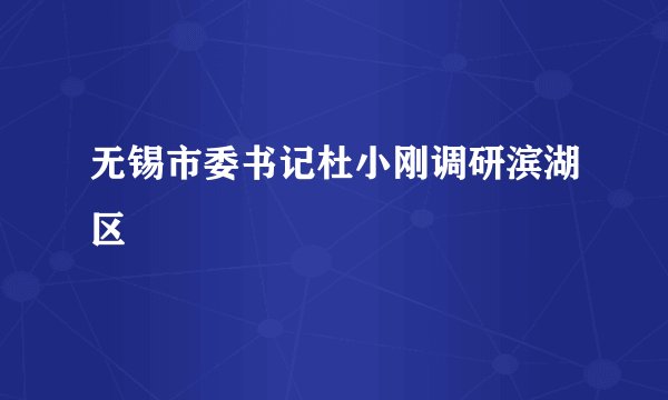 无锡市委书记杜小刚调研滨湖区