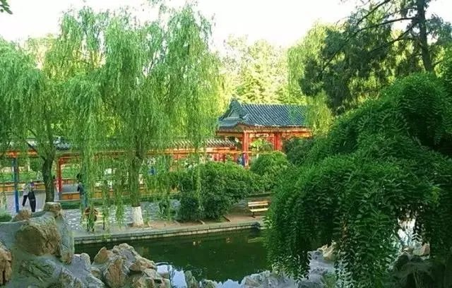 石家庄有哪些城市文化名片？