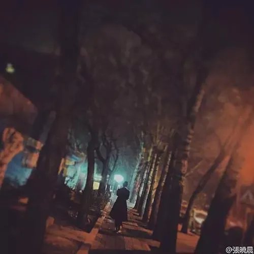 如何评价演员张晓晨?
