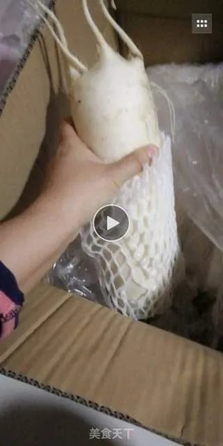 冰山雪莲