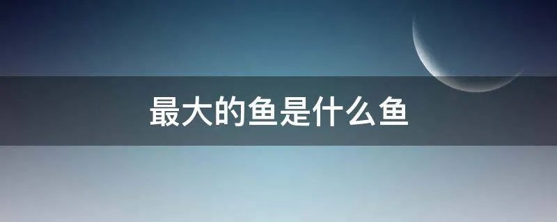 最大的鱼是什么鱼