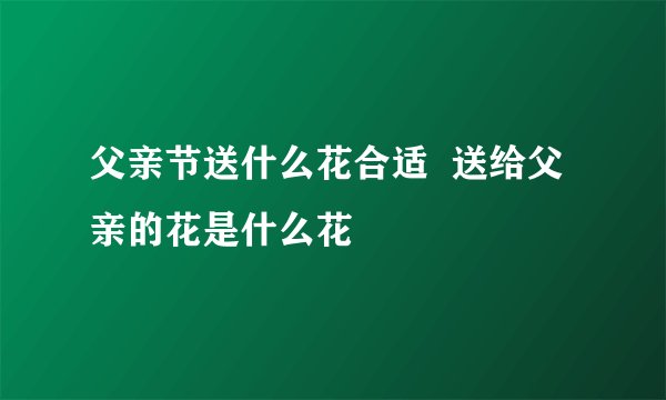 父亲节送什么花合适  送给父亲的花是什么花