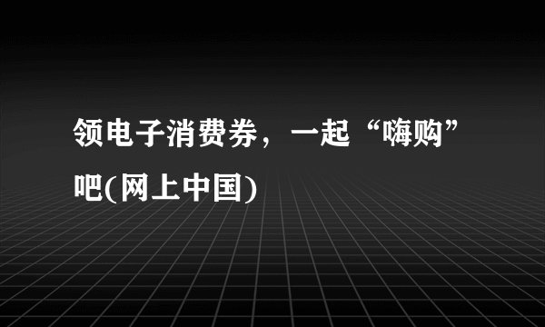 领电子消费券，一起“嗨购”吧(网上中国)