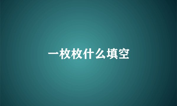 一枚枚什么填空