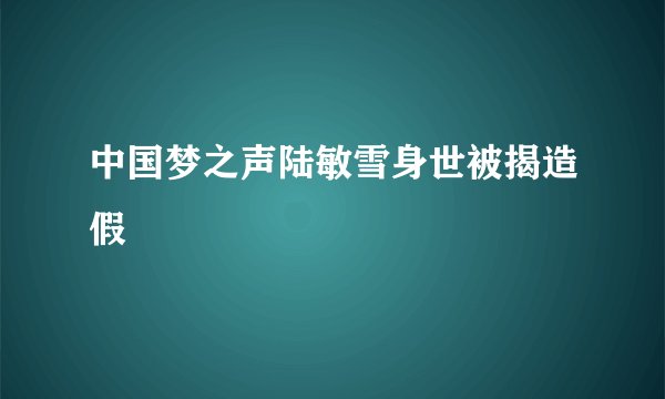 中国梦之声陆敏雪身世被揭造假
