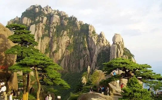 陪客松的简介