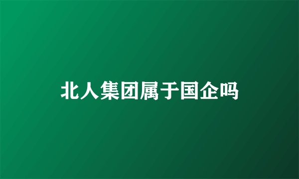 北人集团属于国企吗