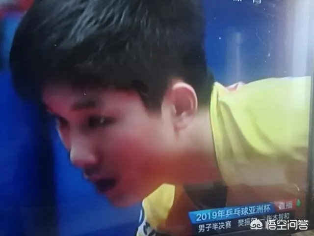 樊振东4:1逆转张本智和晋级2019年亚洲杯男单决赛,如何评价本场比赛双方的表现?