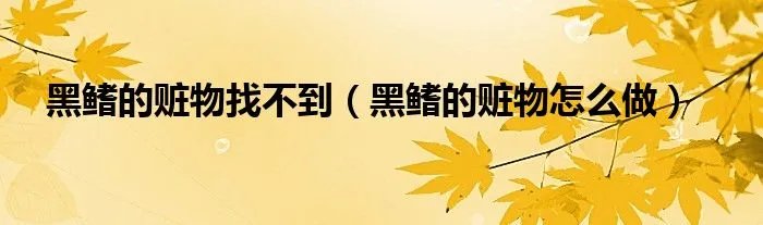 黑鳍的赃物找不到（黑鳍的赃物怎么做）