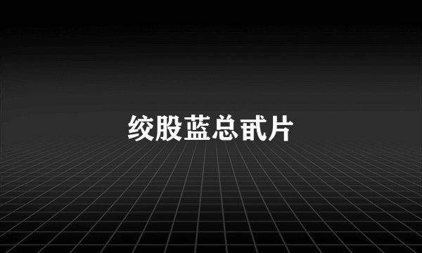 绞股蓝总甙片