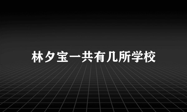 林夕宝一共有几所学校