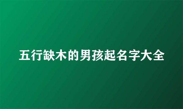 五行缺木的男孩起名字大全