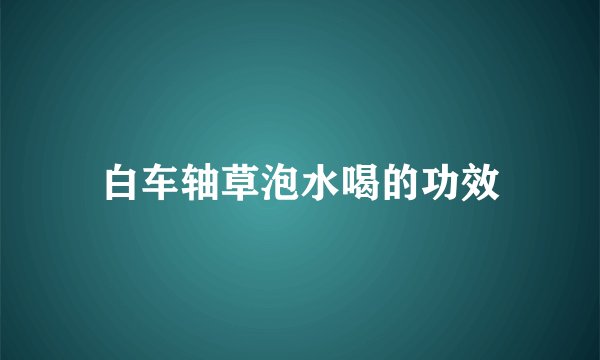 白车轴草泡水喝的功效
