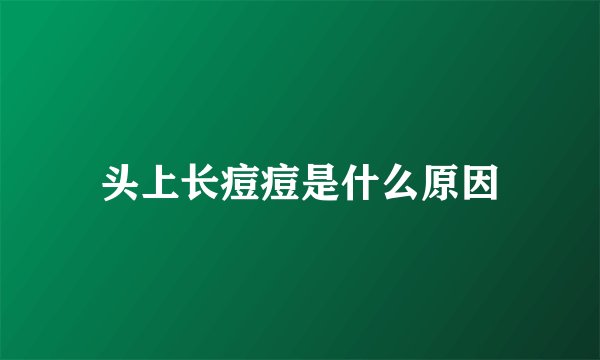 头上长痘痘是什么原因