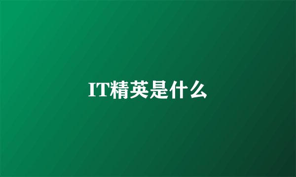 IT精英是什么