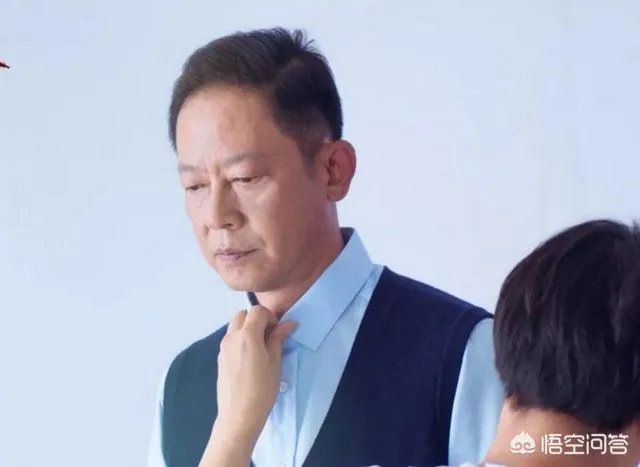 你怎么看电视剧《归去来》中王志文扮演的书望?