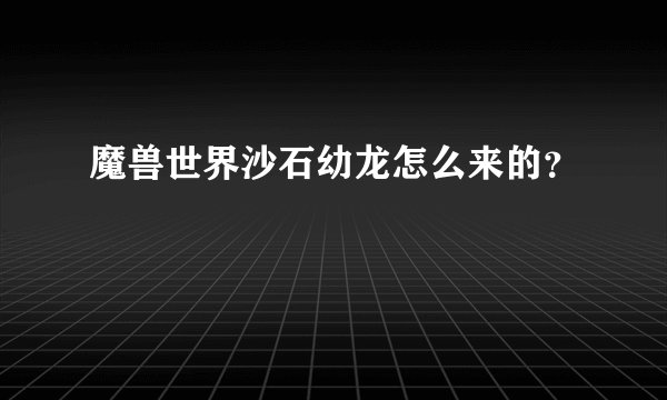 魔兽世界沙石幼龙怎么来的？