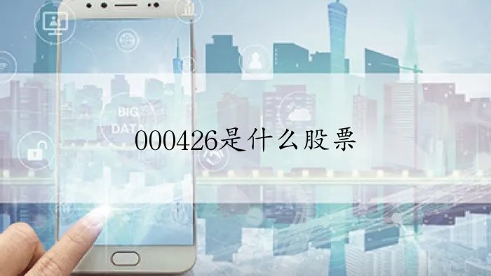 000426是什么股票