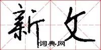 新文