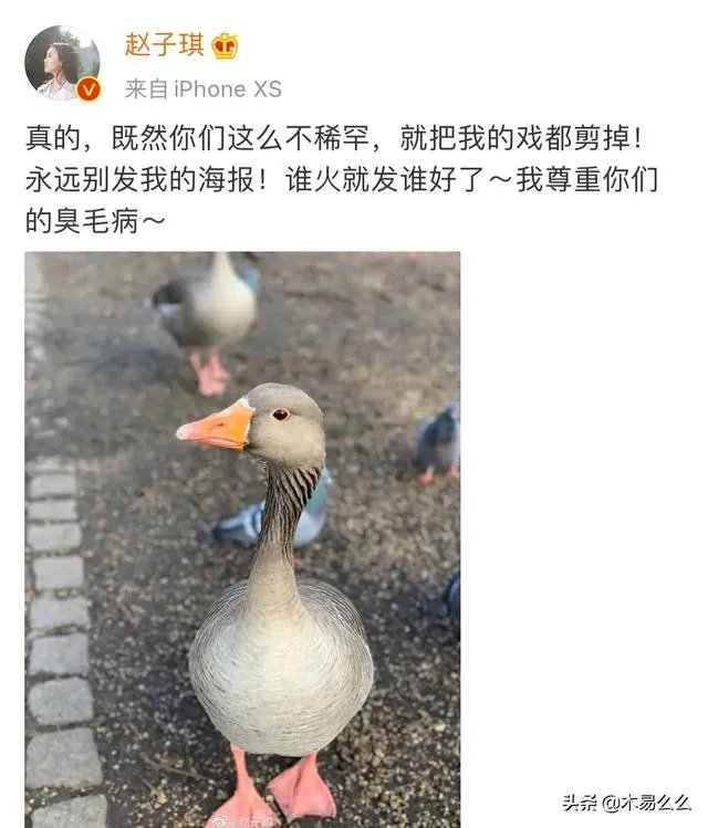 电视剧《重生》女主赵子琪开撕:作为女主没有海报。这件事你怎么看?