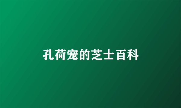 孔荷宠的芝士百科