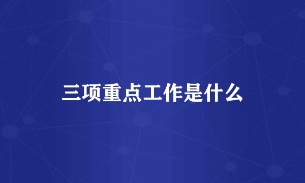 三项重点工作是什么